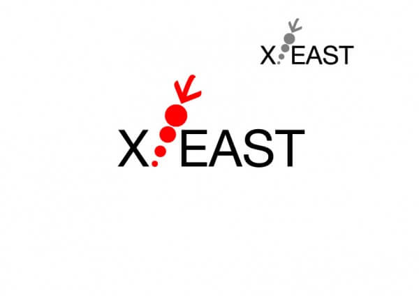 3 600x424 X east